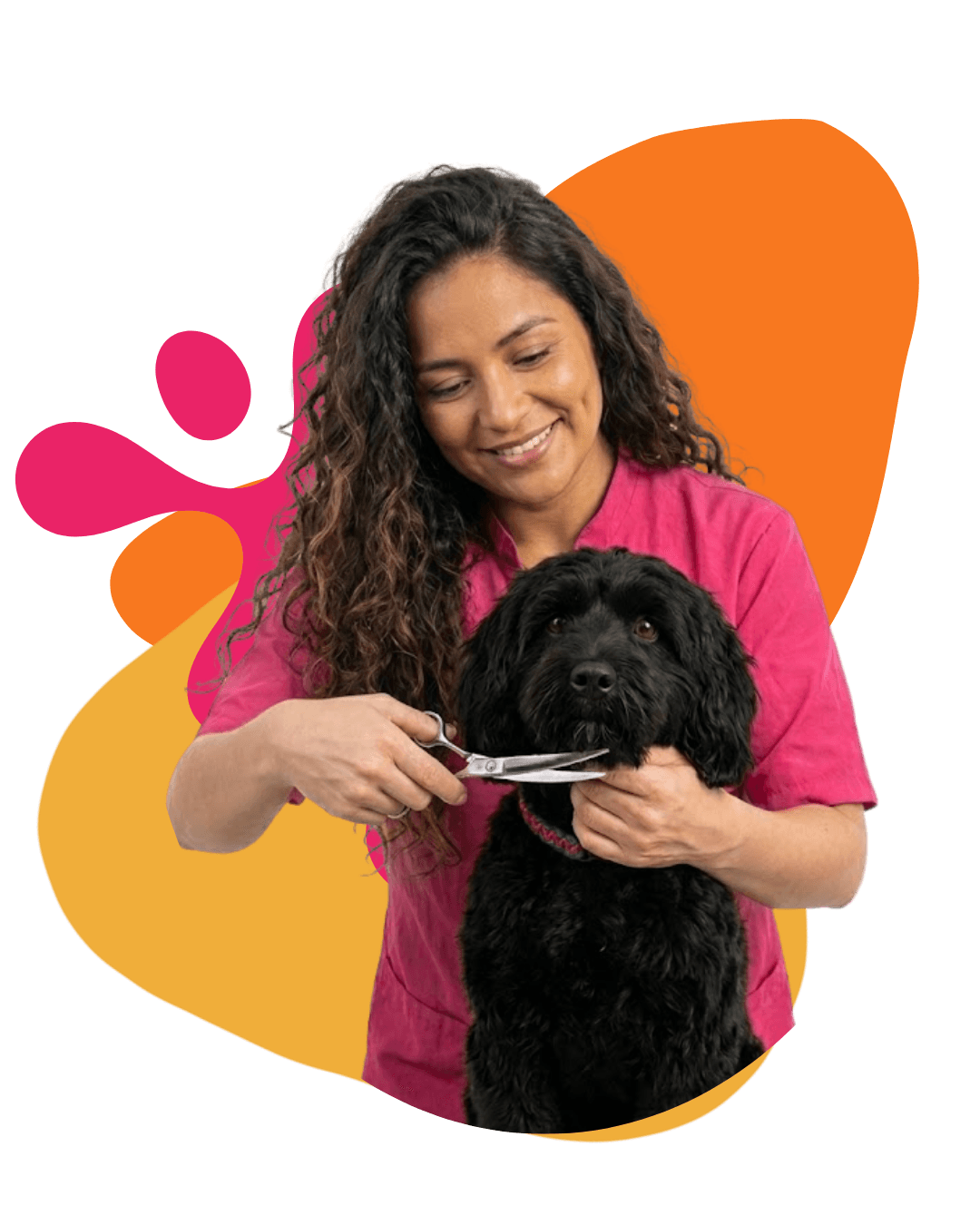Groomer profesional trabajando
